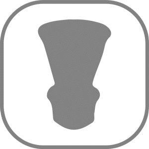 Heads